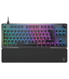 Gaming Keyboard Vulcan 2 TKL Pro (Black, DE)